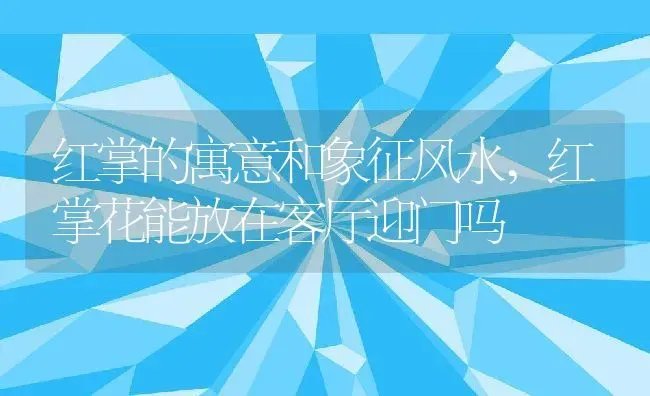 红掌的寓意和象征风水,红掌花能放在客厅迎门吗 | 养殖常见问题