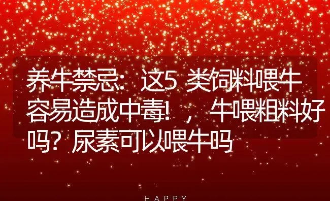 养牛禁忌:这5类饲料喂牛容易造成中毒!,牛喂粗料好吗？尿素可以喂牛吗 | 养殖常见问题