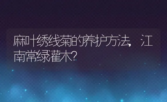 麻叶绣线菊的养护方法,江南常绿灌木？ | 养殖常见问题