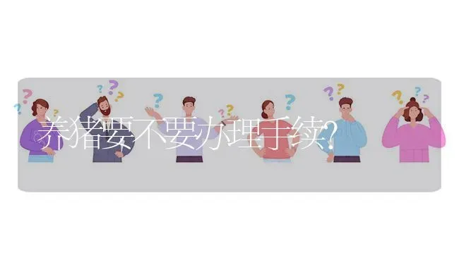 养猪要不要办理手续? | 养殖问题解答