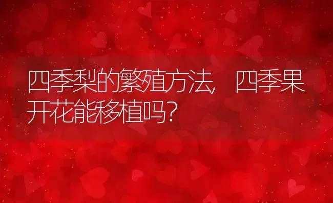 四季梨的繁殖方法,四季果开花能移植吗？ | 养殖常见问题
