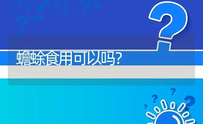 蟾蜍食用可以吗? | 养殖问题解答