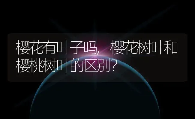 樱花有叶子吗,樱花树叶和樱桃树叶的区别？ | 养殖常见问题