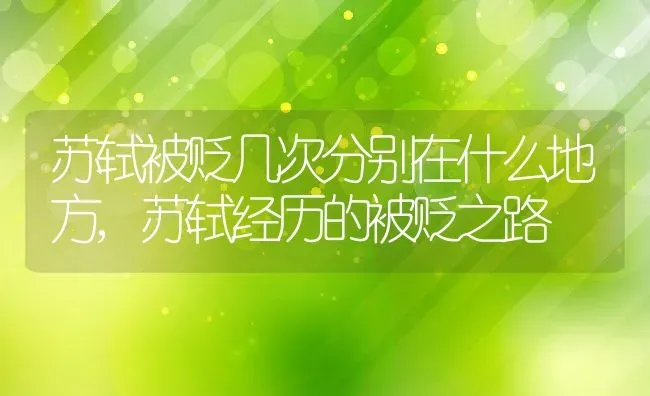 苏轼被贬几次分别在什么地方,苏轼经历的被贬之路 | 养殖常见问题