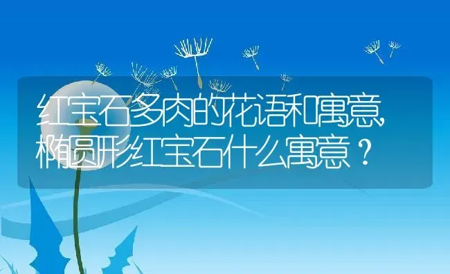 红宝石多肉的花语和寓意,椭圆形红宝石什么寓意？ | 养殖常见问题