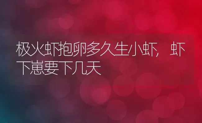 豆制品加工流程和方法,云南楚雄州黑井镇灰豆腐怎么做 | 养殖常见问题