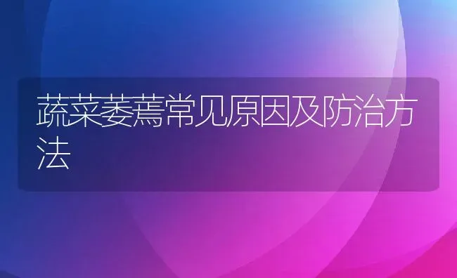 蔬菜萎蔫常见原因及防治方法 | 养殖常见问题