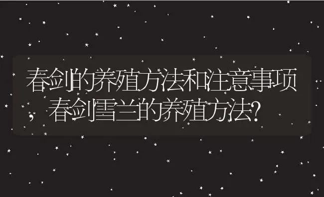 春剑的养殖方法和注意事项,春剑雪兰的养殖方法？ | 养殖常见问题