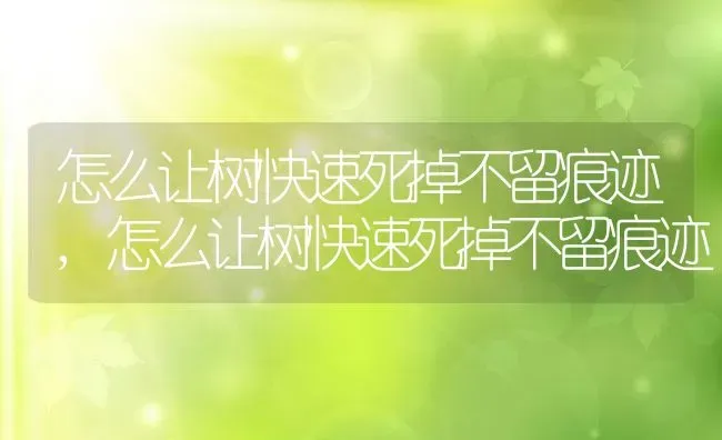 万年青可以剪枝吗什么时候修剪枝叶最合适,广东万年青长太高了怎么修剪？ | 养殖常见问题