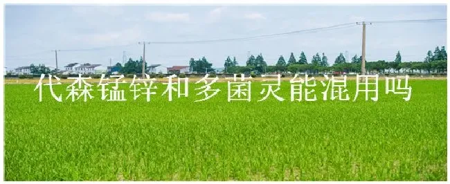 代森锰锌和多菌灵能混用吗 | 生活常识