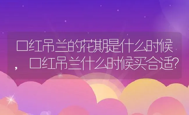 口红吊兰的花期是什么时候,口红吊兰什么时候买合适？ | 养殖常见问题