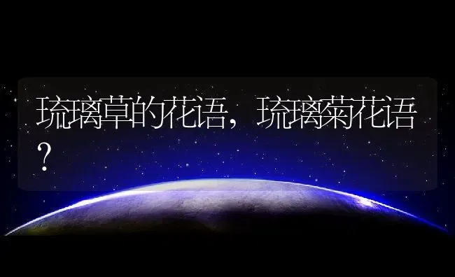 琉璃草的花语,琉璃菊花语？ | 养殖常见问题