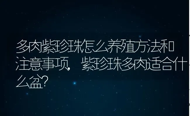 多肉紫珍珠怎么养殖方法和注意事项,紫珍珠多肉适合什么盆？ | 养殖常见问题