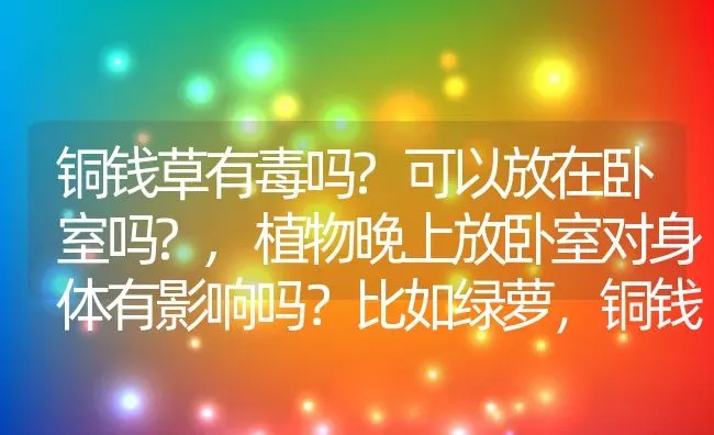 铜钱草有毒吗?可以放在卧室吗?,植物晚上放卧室对身体有影响吗？比如绿萝，铜钱草一类的？ | 养殖常见问题