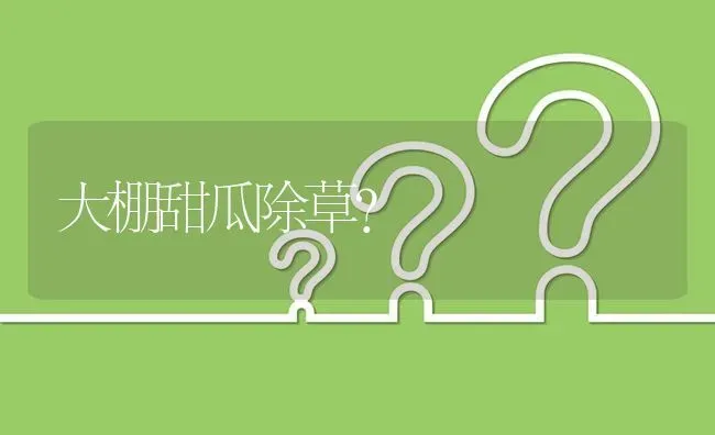 大棚甜瓜除草? | 养殖问题解答