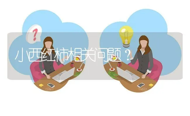 小西红柿相关问题? | 养殖问题解答