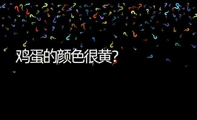 鸡蛋的颜色很黄? | 养殖问题解答