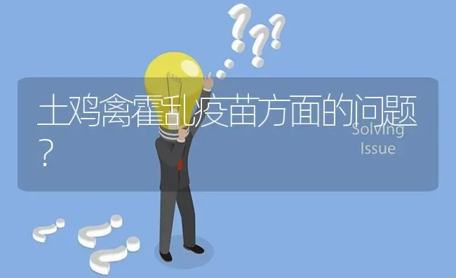 土鸡禽霍乱疫苗方面的问题? | 养殖问题解答