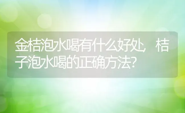 金桔泡水喝有什么好处,桔子泡水喝的正确方法？ | 养殖常见问题