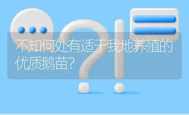 不知何处有适于我地养殖的优质鹅苗? | 养殖问题解答