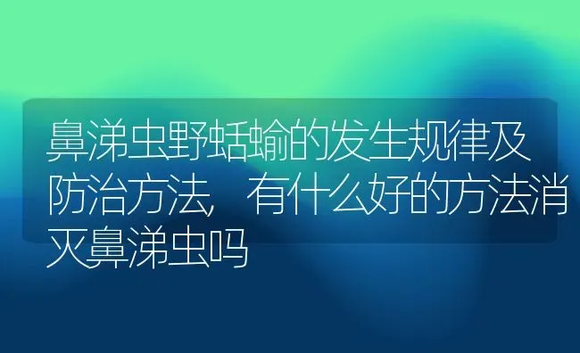 鼻涕虫野蛞蝓的发生规律及防治方法,有什么好的方法消灭鼻涕虫吗 | 养殖常见问题