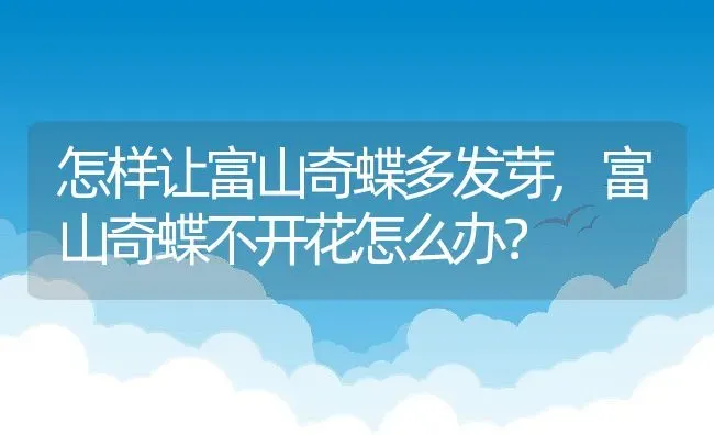 怎样让富山奇蝶多发芽,富山奇蝶不开花怎么办？ | 养殖常见问题