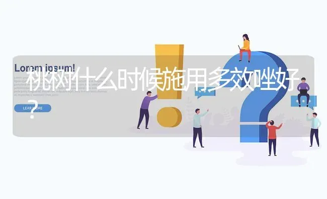 桃树什么时候施用多效唑好? | 养殖问题解答