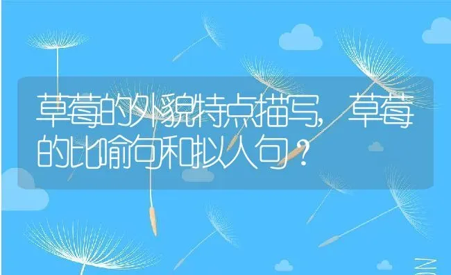 草莓的外貌特点描写,草莓的比喻句和拟人句？ | 养殖常见问题
