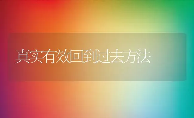 真实有效回到过去方法 | 养殖常见问题