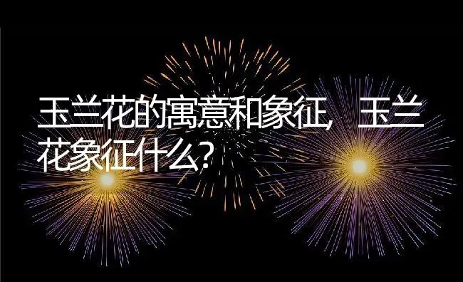 玉兰花的寓意和象征,玉兰花象征什么？ | 养殖常见问题