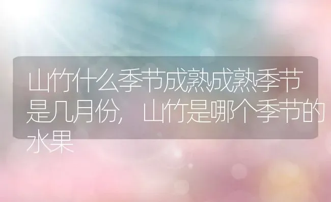 山竹什么季节成熟成熟季节是几月份,山竹是哪个季节的水果 | 养殖常见问题