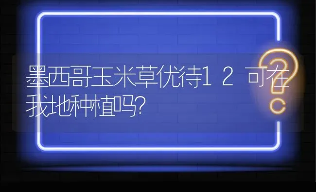 墨西哥玉米草优待12可在我地种植吗? | 养殖问题解答