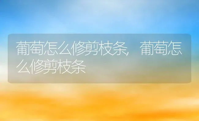 葡萄怎么修剪枝条,葡萄怎么修剪枝条 | 养殖常见问题