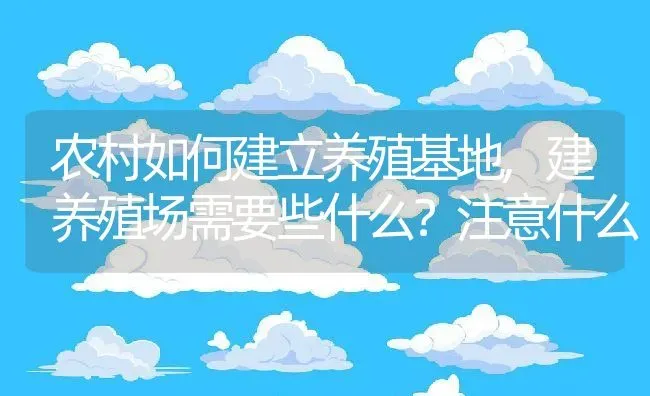 农村如何建立养殖基地,建养殖场需要些什么？注意什么 | 养殖常见问题
