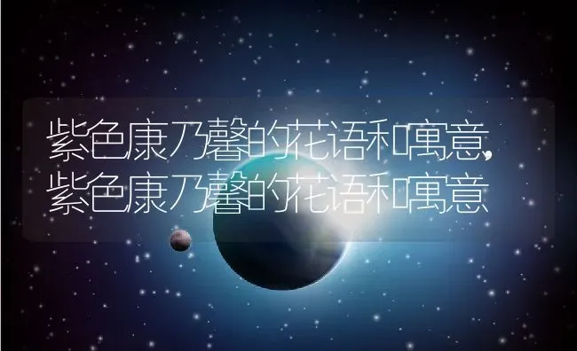 紫色康乃馨的花语和寓意,紫色康乃馨的花语和寓意 | 养殖常见问题