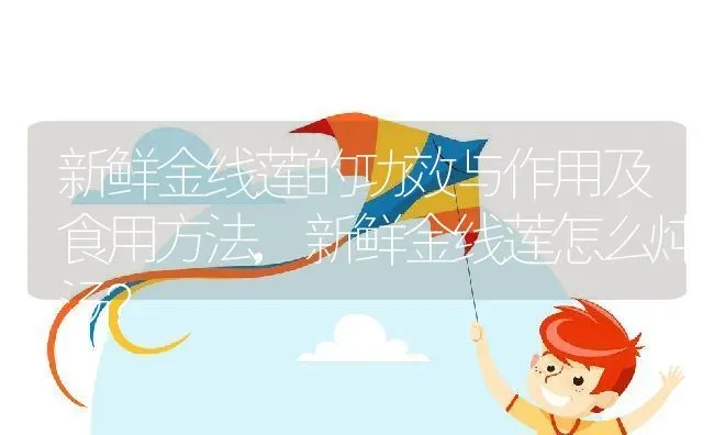新鲜金线莲的功效与作用及食用方法,新鲜金线莲怎么炖汤？ | 养殖常见问题