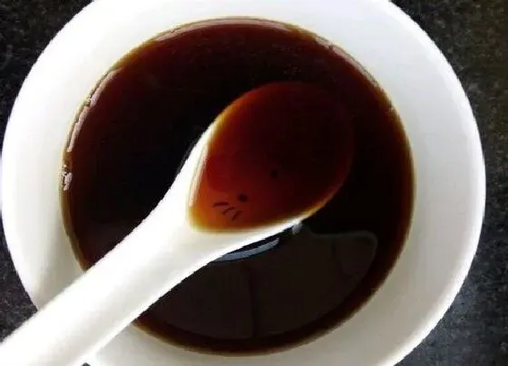 植物常识问题|食用醋如何养长寿花