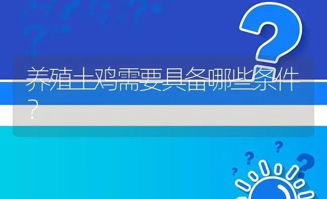 养殖土鸡需要具备哪些条件? | 养殖问题解答