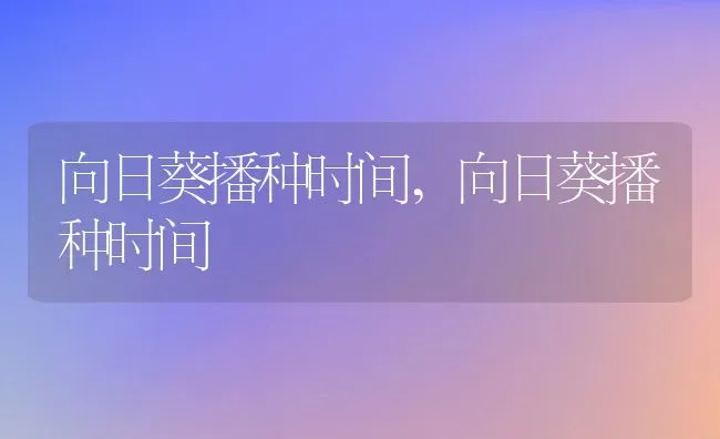 向日葵播种时间,向日葵播种时间 | 养殖常见问题