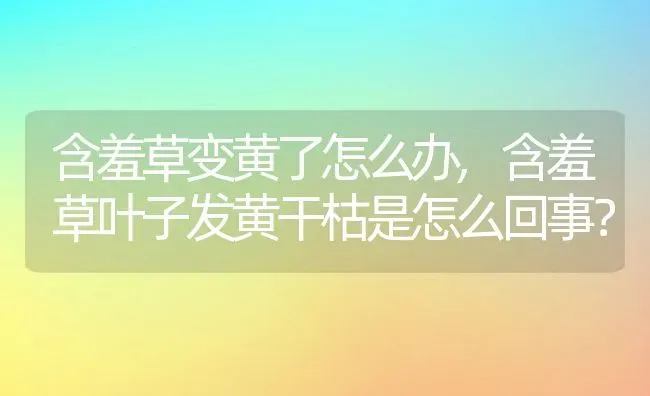 羽毛枫和红枫哪个好,家门口栽红枫和桂花哪一个好？ | 养殖常见问题