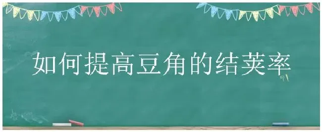 如何提高豆角的结荚率 | 农业问题