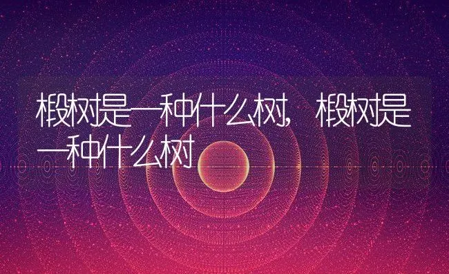 椴树是一种什么树,椴树是一种什么树 | 养殖常见问题