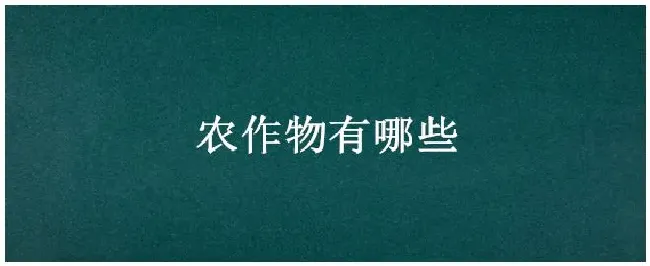 农作物有哪些 | 三农问答