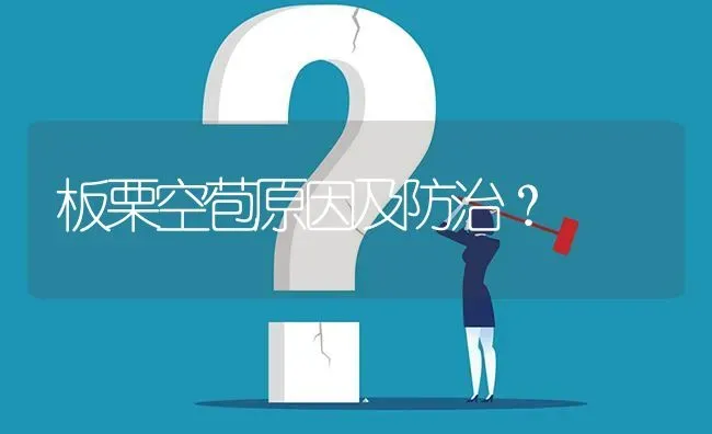 板栗空苞原因及防治? | 养殖问题解答