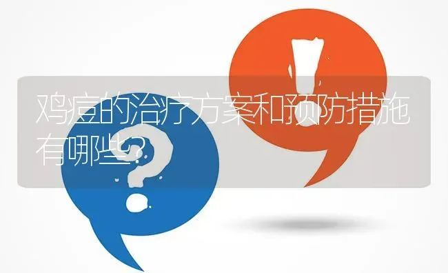 鸡痘的治疗方案和预防措施有哪些? | 养殖问题解答