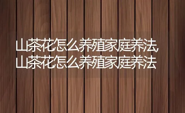 山茶花怎么养殖家庭养法,山茶花怎么养殖家庭养法 | 养殖常见问题