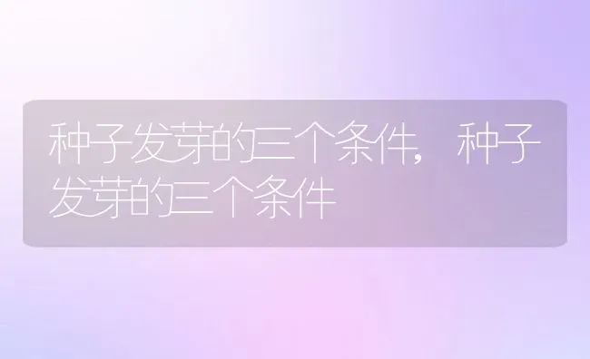 种子发芽的三个条件,种子发芽的三个条件 | 养殖常见问题