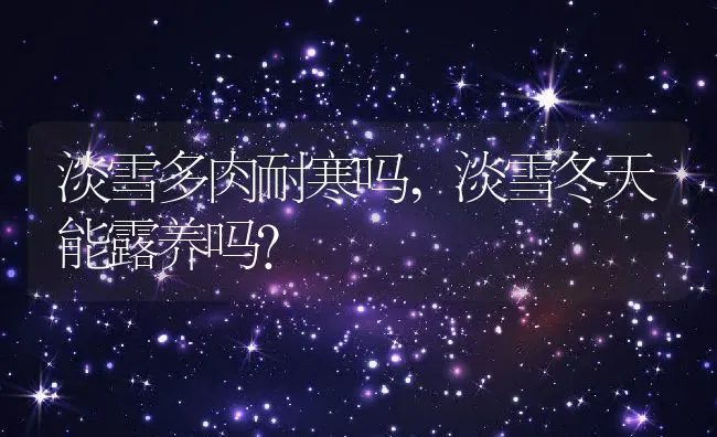 淡雪多肉耐寒吗,淡雪冬天能露养吗？ | 养殖常见问题