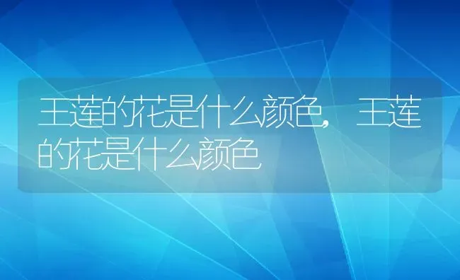 王莲的花是什么颜色,王莲的花是什么颜色 | 养殖常见问题