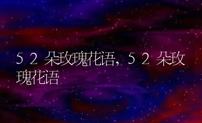 52朵玫瑰花语,52朵玫瑰花语 | 养殖常见问题